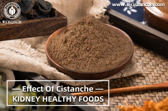 CISTANCHE EXTRACT WITH 25% ECHINACOSIDE AND 9% ACTEOSIDE CISTANCHE EXTRACT WITH 25% ECHINACOSIDE AND 9% ACTEOSIDE
