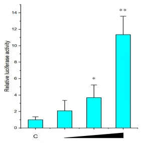 Figure 4. The activation of NF-κB reporter by McIL-17-3. The recombinant vector pEGFP-McIL- 17-3 in three concentrations (0.1, 0.5, and 1.0 µg/well) was cotransfected into HEK293 cells using Lipo6000TM for 24 h. The relative luciferase activities were calculated by normalizing to the pRLTK value. The experimental results were expressed as fold changes by comparing the luciferase activities of recombinant vector-induced cells with those of empty vector-induced cells at the same concentration. Each value was shown as mean ± SD (n = 3), and bars with an asterisk symbol were significantly different (* p < 0.05, ** p < 0.01).