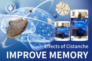 improve memory improve memory