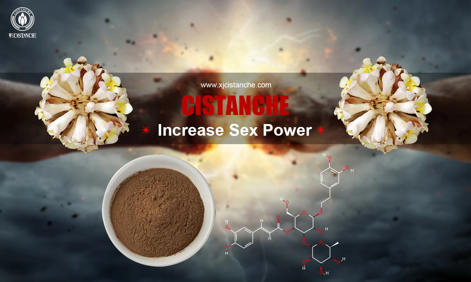 Cistanche extract for increasing sex power