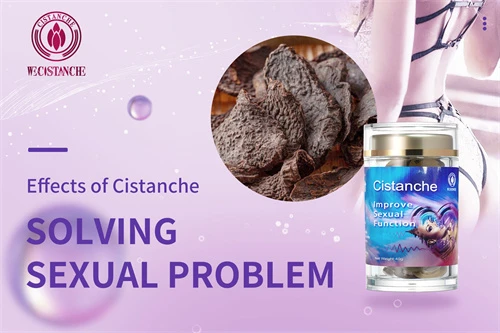 Cistanche tubulosa extract Cistanche tubulosa extract