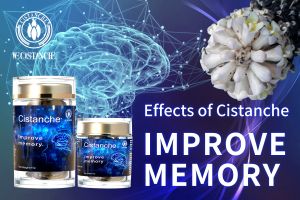 improve working memory improve working memory