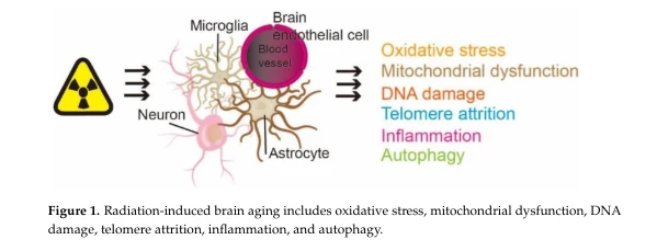 increase memory power
