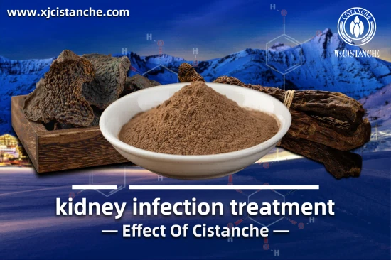 HERB CISTANCHE FOR THE RENAL DISEASE