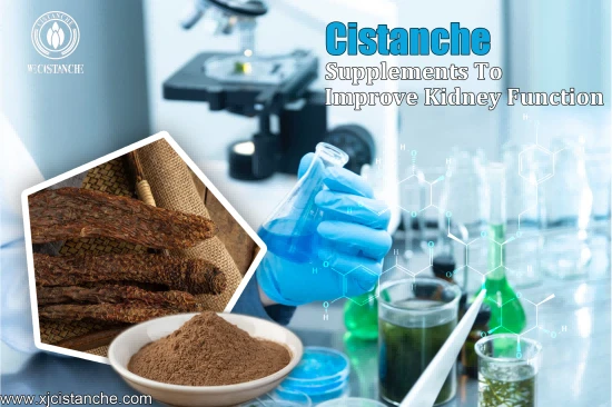 NEW HERBAL cistanche FORMULATION FOR CKD