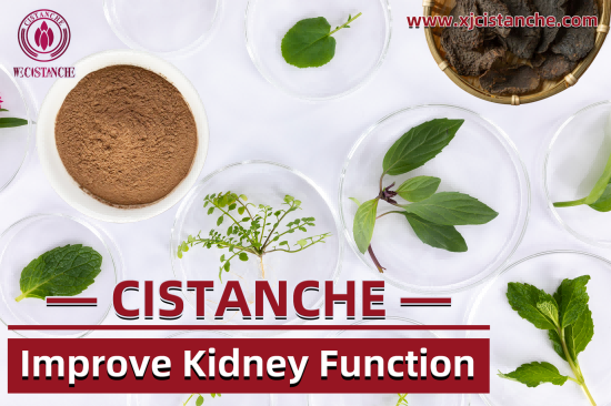 NEW HERBS CISTANCHE FOR KIDNEY YIN AND YANG DEFICIENCY