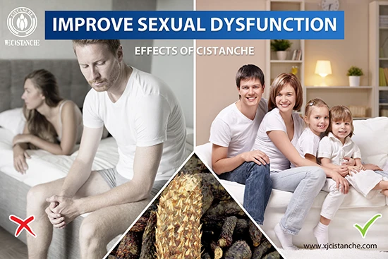 effects of cistanche-improve kidney function (11) effects of cistanche-improve kidney function (11)