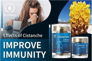 Cistanche Tubulosa Иммунитет Бустер