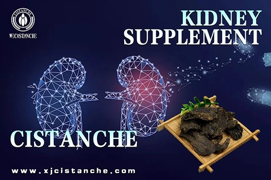 effects of cistanche-improve kidney function effects of cistanche-improve kidney function